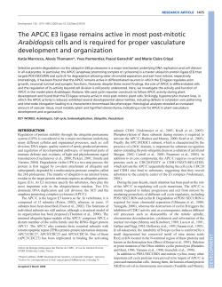 The APC/C E3 ligase remains active in most post