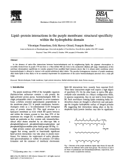Lipid-protein interactions in the purple membrane