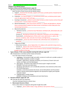 Main functions of bone tissue