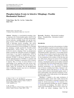 Phosphorylation Events in Selective Mitophagy: Possible