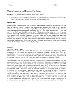 2. Is the change in number of muscle fibers that contract