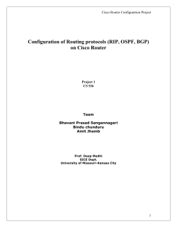 Implementation of BGP, OSPF, RIP protocols on a 2500 cisco routers.