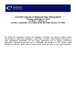 Current Issues in Natural Gas Generation