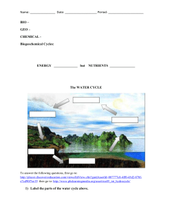 Nitrogen Cycle Virtual