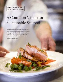 A Common Vision for Sustainable Seafood