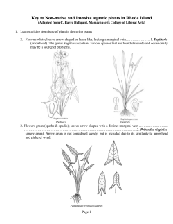 Key to Non-native and invasive aquatic plants in Rhode Island