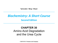 Biochemistry: A Short Course