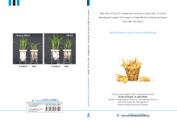 The role of Na+/H+ antiporter activity in leaf cells of newly developed