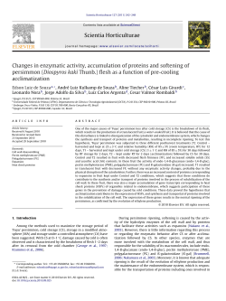 Changes in enzymatic activity, accumulation of proteins and