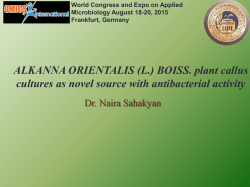ALKANNA ORIENTALIS
