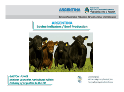 Presentaci&oacute;n de PowerPoint