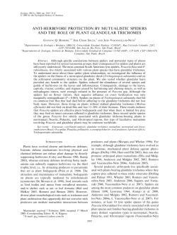 anti-herbivore protection by mutualistic spiders and the role of plant