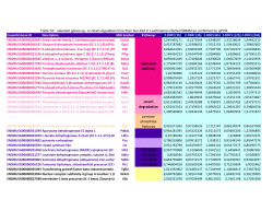 pentose phosphate Pathway TCA Cycle TCA Cycle TCA Cycle TCA