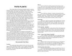 patio plants - Bennett`s Greenhouse