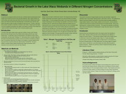 Bacterial Growth in the Lake Waco Wetlands in Different Nitrogen