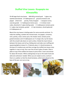 Stuffed Vine Leaves- Koupepia me Klimatofilla