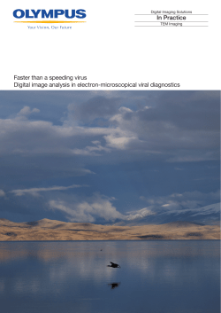 In Practice Faster than a speeding virus Digital image analysis in