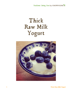 Thick Raw Milk Yogurt Traditional Cooking School by