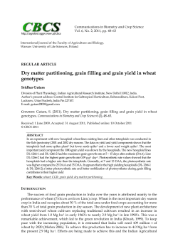 Dry Matter Partitioning, Grain Filling and Gain Yield in Wheat