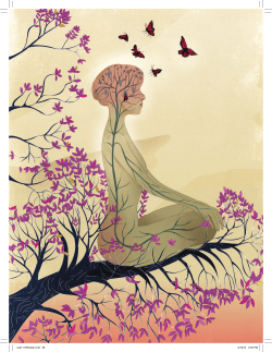 Mind of the Meditator - University of Pennsylvania Law School