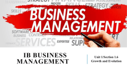 IB Business Management