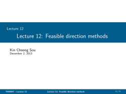 Lecture 12: Feasible direction methods