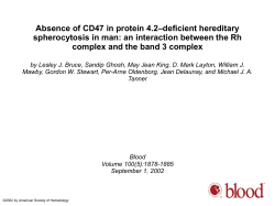 (band 3, ankyrin, protein 4.2, and GPA) and the Rh complex