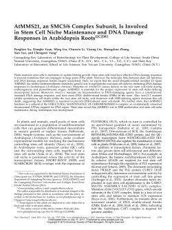 AtMMS21, an SMC5/6 Complex Subunit, Is Involved in Stem Cell