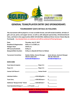 team / player entry form