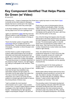 Key Component Identified That Helps Plants Go Green (w
