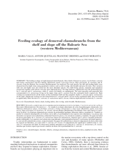 Feeding ecology of demersal elasmobranchs from