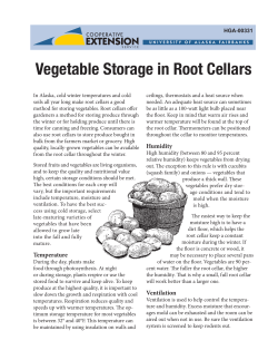 Vegetable Storage in Root Cellars