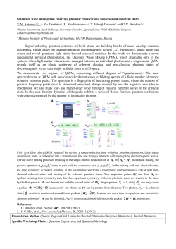 Guidelines for Abstract