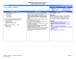 Energy Flow - Science - Miami