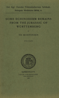 some echinoderm remains from thejurassic of w&uuml;rttemberg