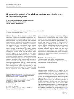 Genome-wide analysis of the chalcone synthase superfamily genes