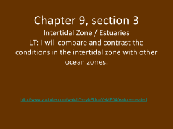 Chapter 5, section 3 - Northview Middle School
