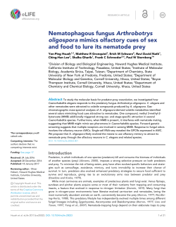 Nematophagous fungus Arthrobotrys oligospora mimics olfactory