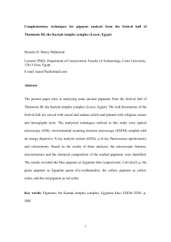 Complementary techniques for pigment analysis from - e