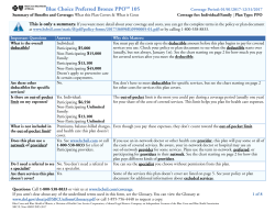 Blue Choice Preferred Bronze PPOSM 105