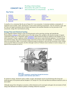 Key Terms producer herbivore carnivore consumer decomposer