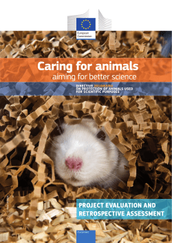 Caring for animals - Recherche animale