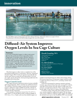 Diffused-Air System Improves Oxygen Levels In Sea