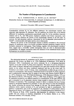The Number of Hydrogenases in Cyanobacteria