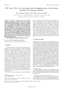OTC and AUL1, two convergent and overlapping genes in the