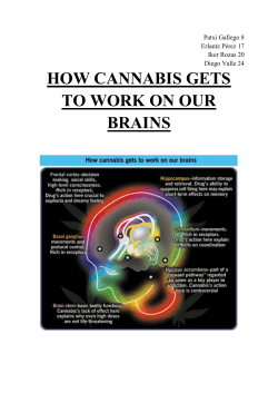 how cannabis gets to work on our brains - Zientzia
