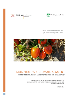 india processing tomato segment