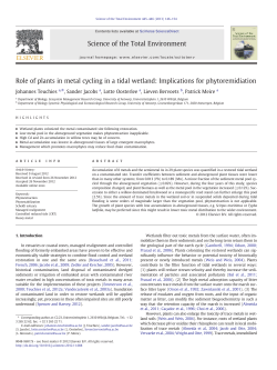 Role of plants in metal cycling in a tidal wetland: Implications for