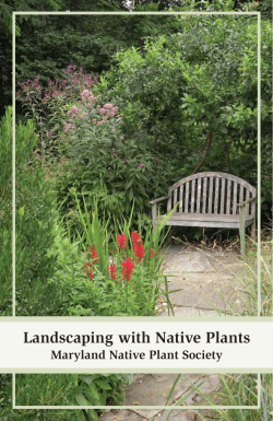 landscape booklet links 2 - Maryland Native Plant Society