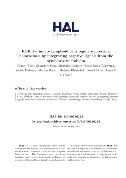RORt+ innate lymphoid cells regulate intestinal homeostasis